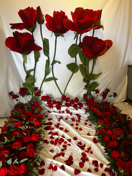 Engagement, Vow Renewal and Elopement Package