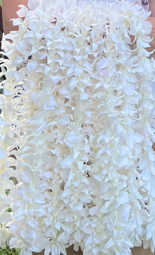 White Orchid Lei Fresh Bulk