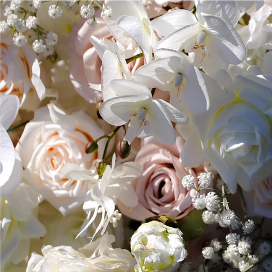 Rose Wall: The Blush & Dreamy Floral Wall
