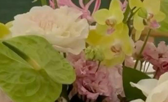 The Grand Soana Signature Package